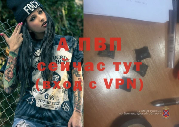 ГАЛЛЮЦИНОГЕННЫЕ ГРИБЫ Белокуриха