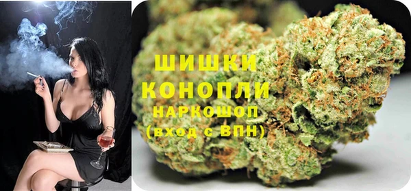 ГАЛЛЮЦИНОГЕННЫЕ ГРИБЫ Белокуриха